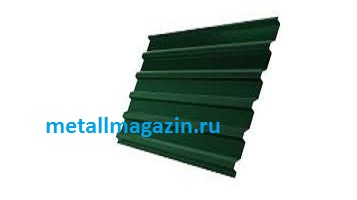 Профлист окрашенный С20 RAL6005